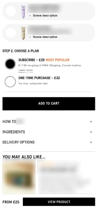 Página variante del test, con los detalles de la tienda difuminados